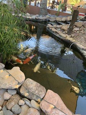 Koi pond and beautiful grounds .