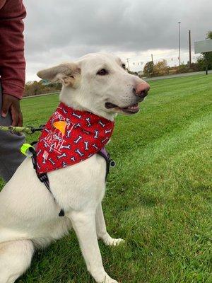 Our fur baby who had a great time at Sleepy Hollow Pet Ranch