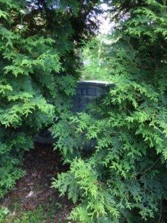 George Washington Cemetery - My parents headstone and grave site is hidden because of lack of maintenance at the cemetery.