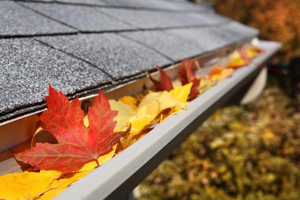 Keeping your gutters clean is vital to keeping your basement dry