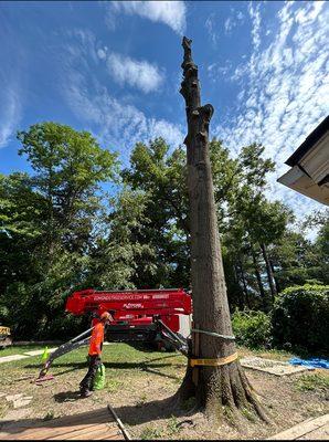 Large removal of a Pin Oak with our Platform lift allowing us to safely and efficiently remove this tree by a house.