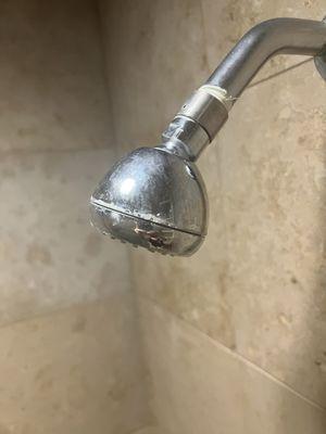 Disgustingly dirty shower head. Would you want to shower here?