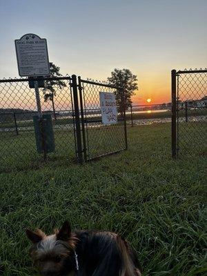 Dog park