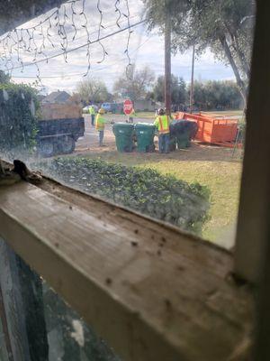 Cleaning up most of the tree that they could.