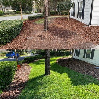 before and after 
irrigation and sod installation