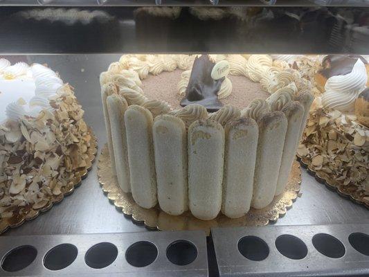 Tiramisu wrapped in Finger biscuit Cake