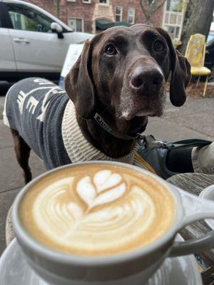 Orange cinnamon latte and Lola