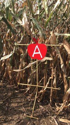 Fischer's Croix Farm Orchard