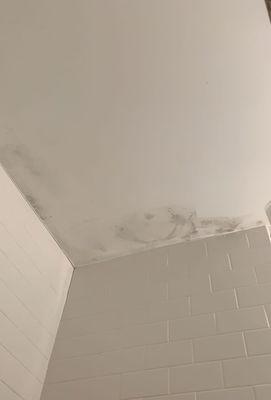 Mold in the shower