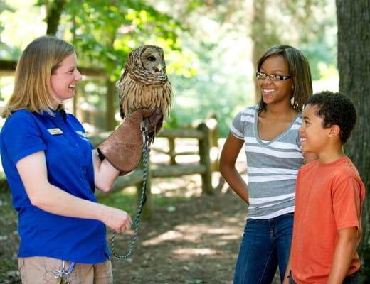 Woodlands Nature Station