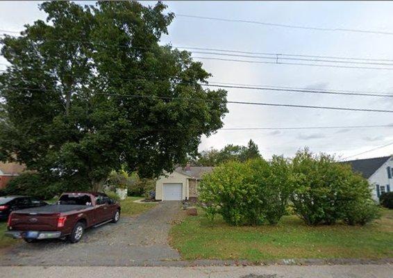 Picture from last summer of the maple and rose of sharon ...what they had to deal with!