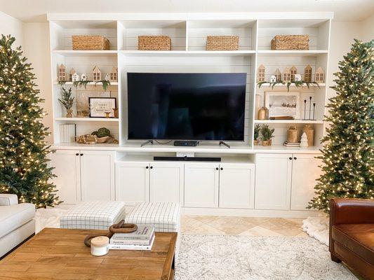 Entertainment Center