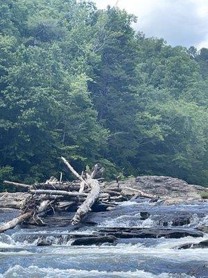 Driftwood and falls