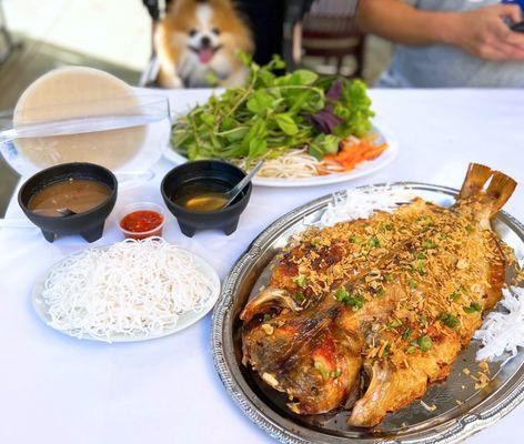 Cá Quay Dừa Xiêm Da Giòn Kiêu Bên Tre: Signature Crispy Roasted Whole Catfish, w/ rice paper, vermicelli, herbs | M-$53, L-$60