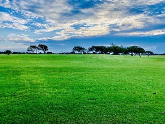 4 balls/tee shots in the #1 fairway & we are not playing a scramble