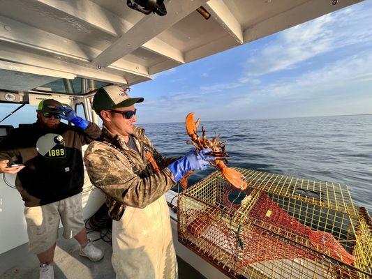 Captain Bobs Lobster Tours & Fishing Charters