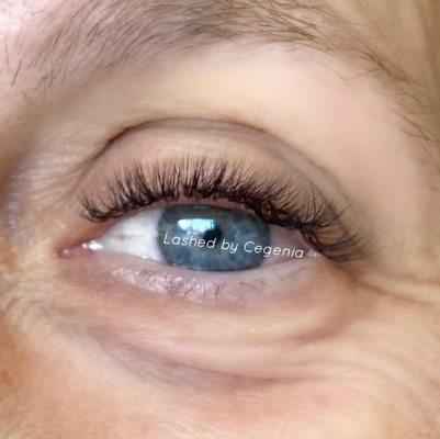 Short volume lash extensions