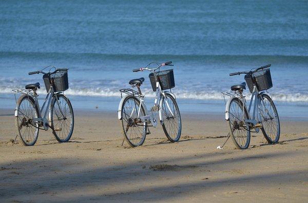 Enjoy bike trails galore with onsite bike rental