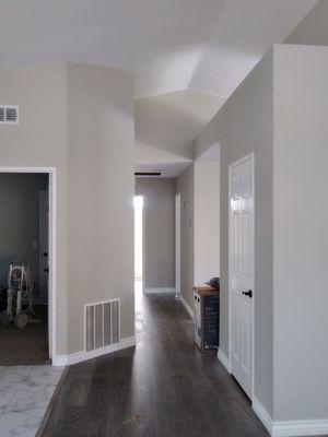 VPM painting services