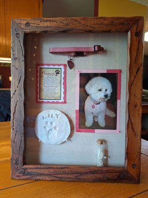 The memorial shadow box we created to remember our sweet girl