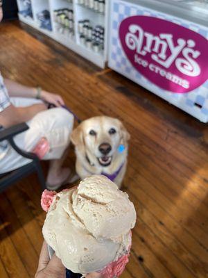 Rainey wants my Amy's ice cream with home made chocolate cone