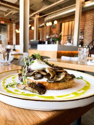 Mushroom toast with an added poached egg