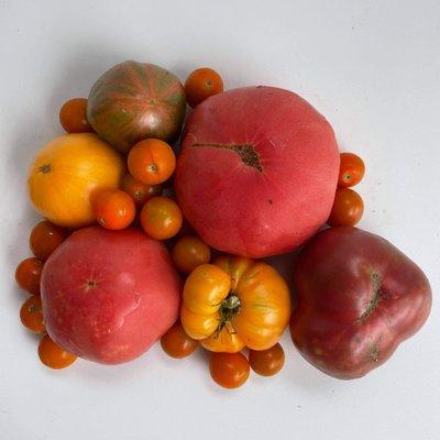 Gorgeous heirloom and cherry tomatoes