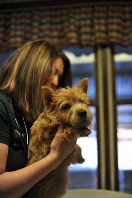 Dr. Stoltzfus caring for a patient