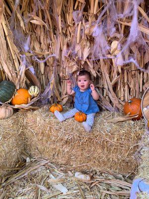 My 11 month old loved the pumpkin patch!