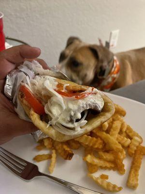 Gyro and Fries