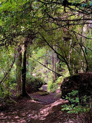 Views from the trail