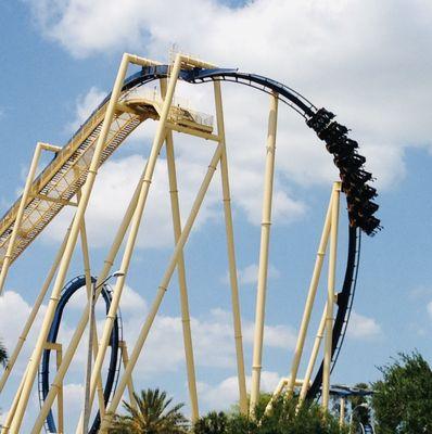 Montu Rollercoaster, Busch Gardens Theme Park, Tampa