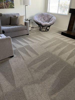 Quality living room carpet care