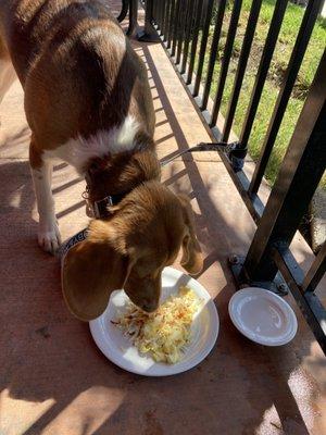 Dog friendly patio!