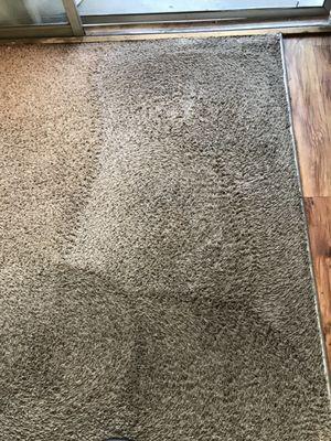 Living space carpet before cleaning services began.