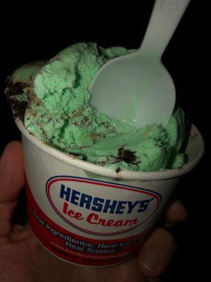 Mint chocolate chip