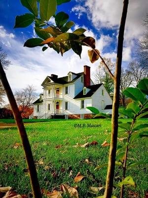 A beautiful home and one of N Carolina's greatest treasures.