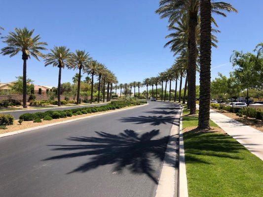 HOA / Commercial landscaping client