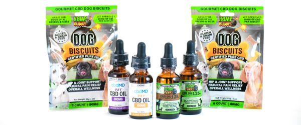 CBD for Pets