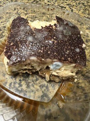 Tiramisu with fungus