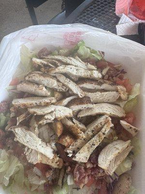 Grilled chicken salad