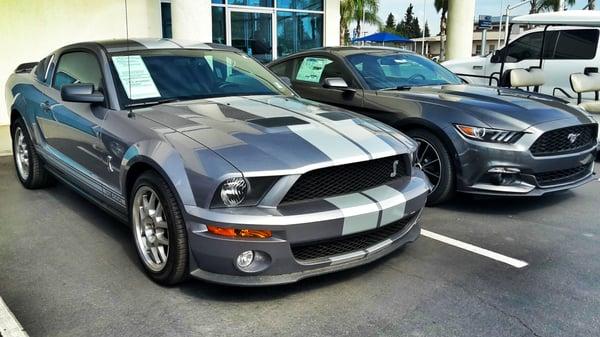 Old and New Mustang