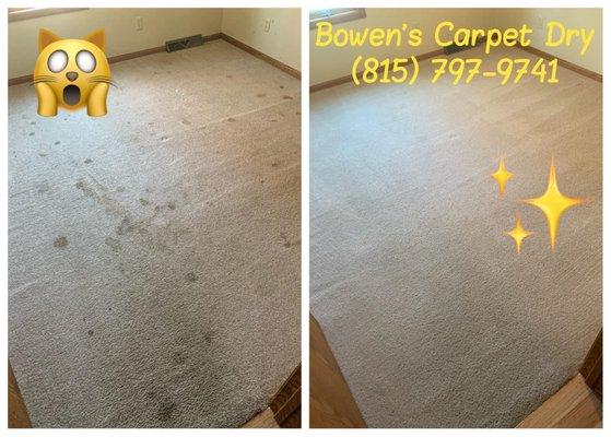 Bowen's Carpet Dry