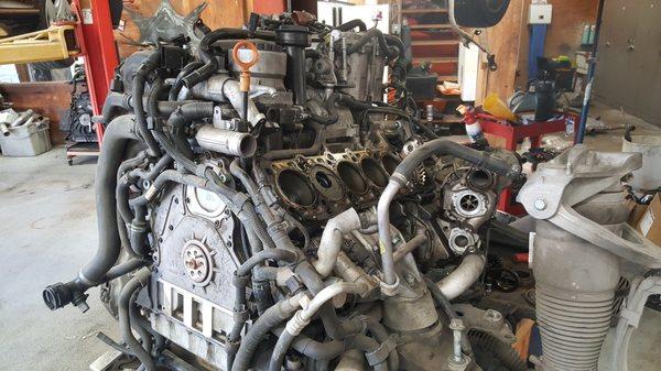 2004 VW Touareg v10 TDI Cylinder head repair!