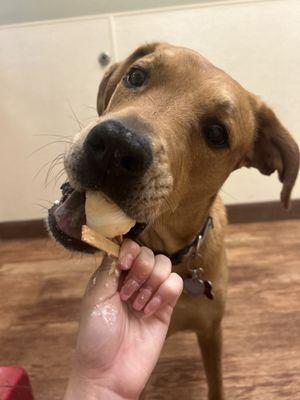 Enjoying a creamsicle enrichment