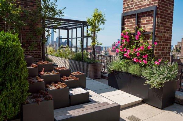 Rooftop Manhattan - Pergola and planters all made by Plant Specialists