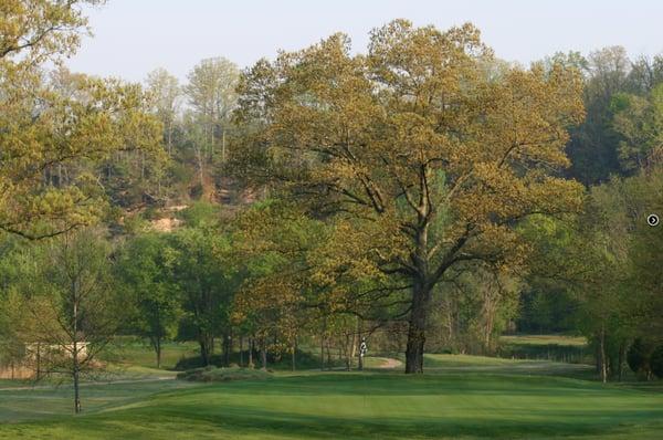 Highland Rim Golf Course- Joelton Tennessee-  just outside of Nashville Tennessee