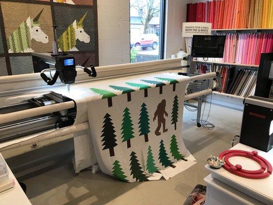 I took the longarm class at MD and i am so glad i did. the class was thorough and it came with a two hour individual practise.