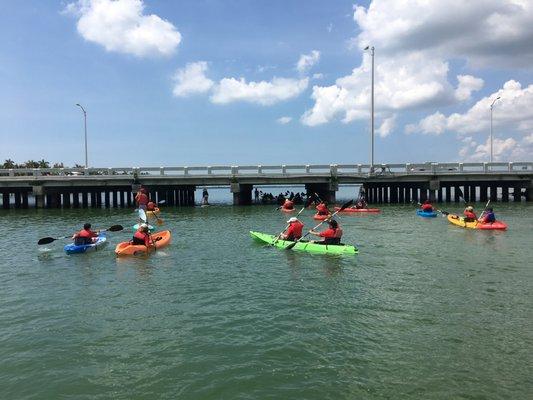 Kayak Rentals and Paddle Tours