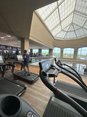 Cardio area